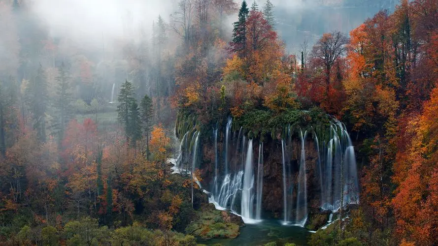 无人化网络化